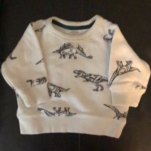 Carter's Shirts & Tops - Carter's Dinosaur Sweatshirt - Sz 3M Carter's Shirts & Tops - Carter's Dinosaur Sweatshirt - Sz 3M
